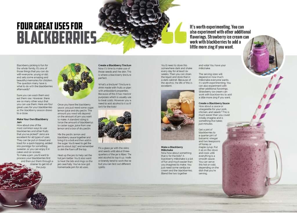 Devon Magazine Spread 2