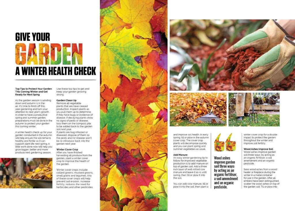 Devon Magazine Spread 4