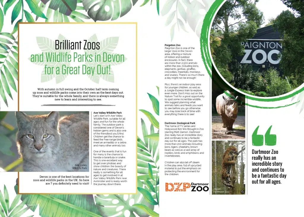 Devon Magazine Spread